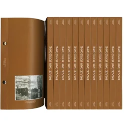 Balade dans Notre-Dame