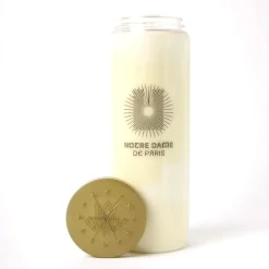 Neuvaine Notre Dame de Paris